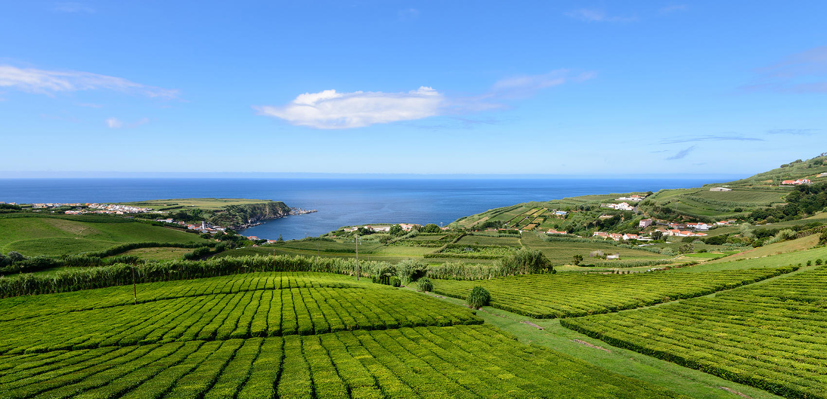 Açores2